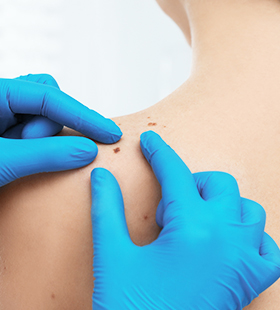 service categories pic 1